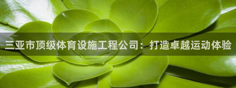 意昂体育3招商电话是多少：三亚市顶级体育设施工程公司