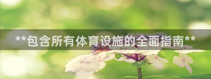 意昂3集团E.ON：**包含所有体育设施的全面指南*