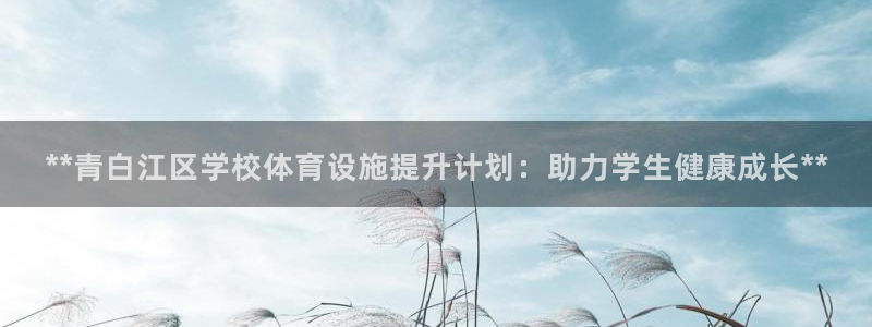 意昂3集团：**青白江区学校体育设施提升计划：助力学