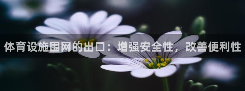 意昂3娱乐首页网站大全：体育设施围网的出口：增强安全性，改善