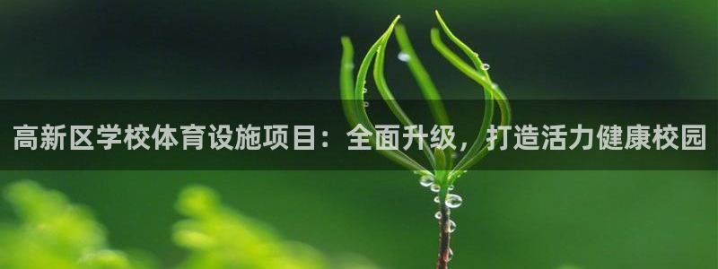 意昂体育3平台APP：高新区学校体育设施项目：全面升
