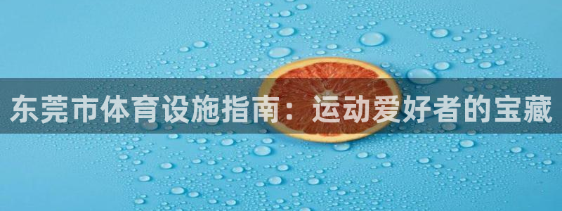 意昂体育3招商电话地址查询：东莞市体育设施指南：运动爱好者的