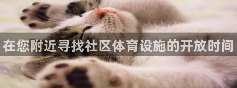 意昂体育3招商电话：在您附近寻找社区体育设施的开放时