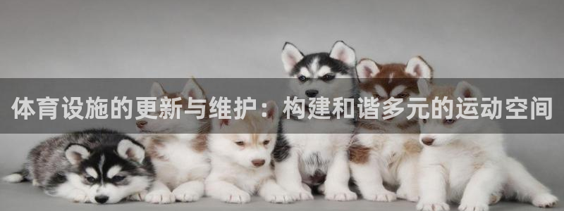 意昂3娱乐下载