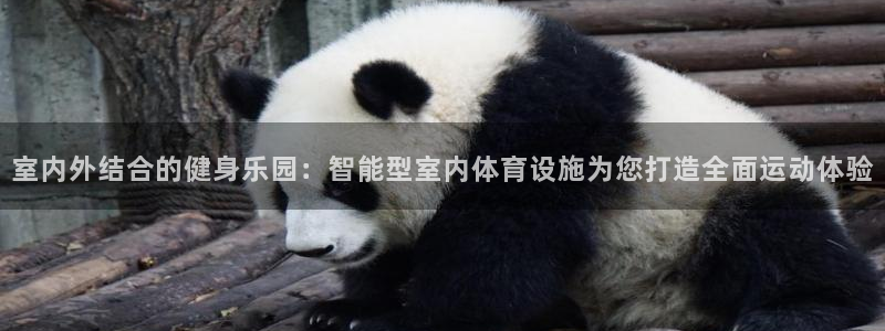 意昂体育3开户