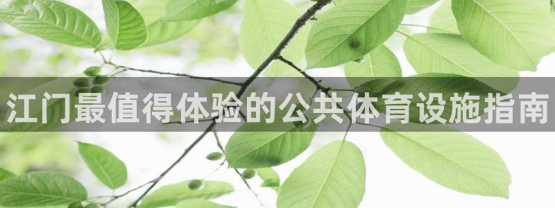 意昂3开户：江门最值得体验的公共体育设施指南