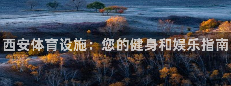 意昂3娱乐下载：西安体育设施：您的健身和娱乐指南