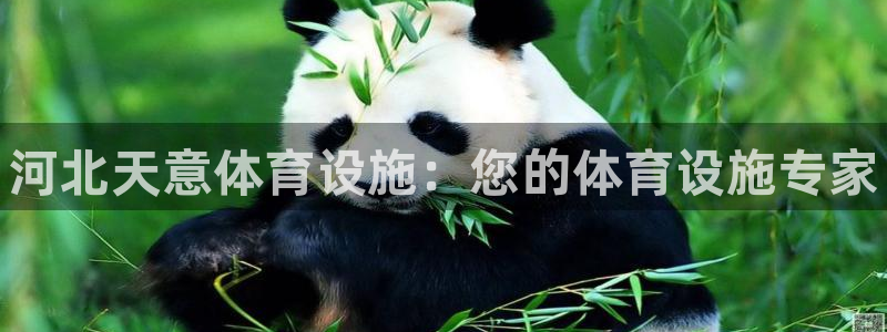 意昂体育3官方客服电话：河北天意体育设施：您的体育设施专家