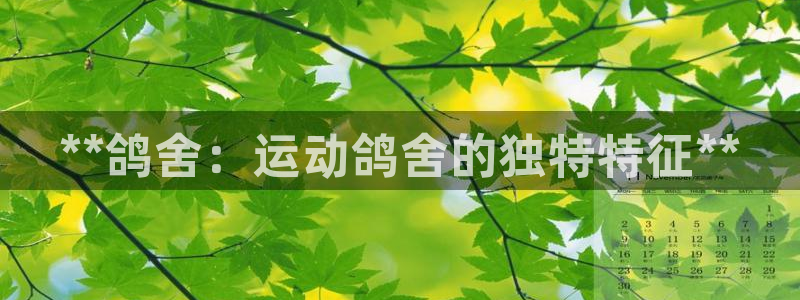 意昂体育3招商电话号码查询：**鸽舍：运动鸽舍的独特特征**