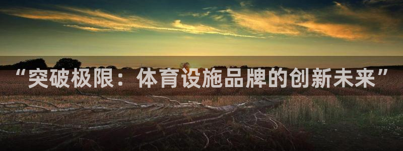 意昂3娱乐：“突破极限：体育设施品牌的创新未来”