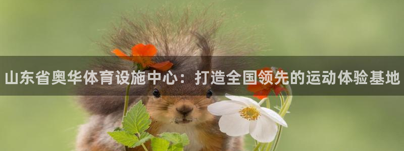 意昂体育3招商电话号码：山东省奥华体育设施中心：打造