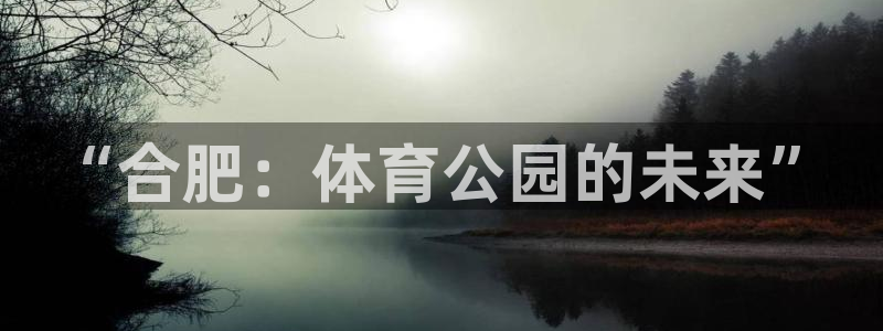 意昂3开户：“合肥：体育公园的未来”