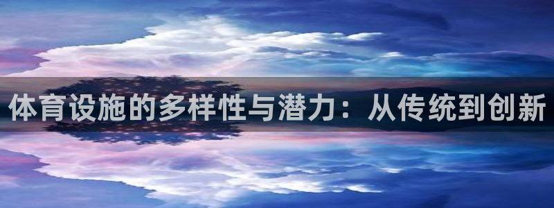 意昂体育3是干嘛的公司：体育设施的多样性与潜力：从传