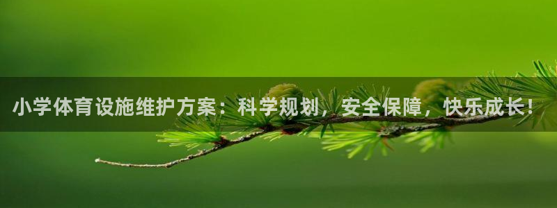 意昂体育3平台假的吗是真的吗：小学体育设施维护方案：科学规划