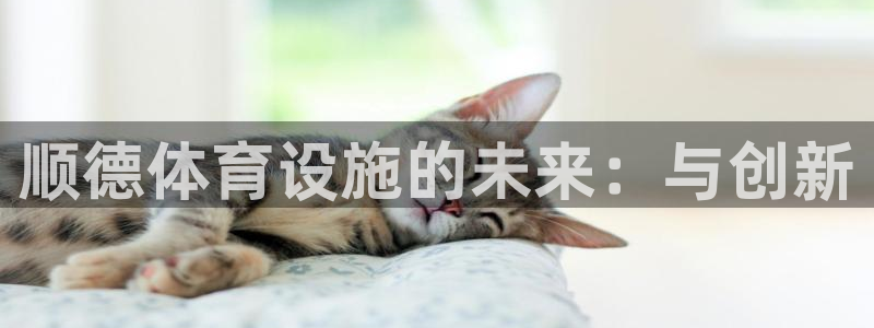 意昂3新能源：顺德体育设施的未来：与创新