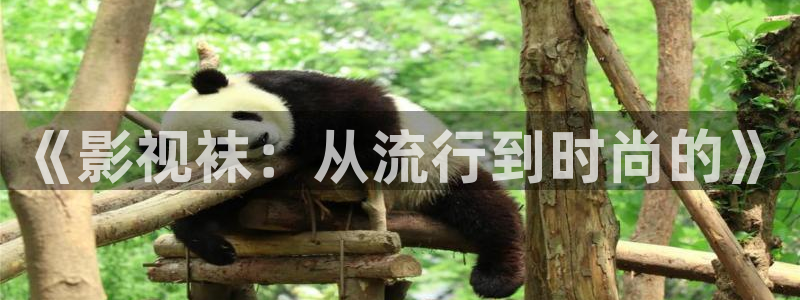 悟空视频app