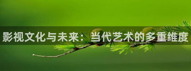 悟空影视大全免费观看视频最新版