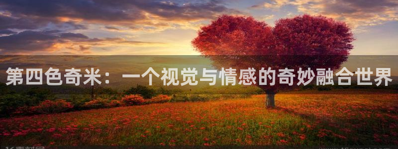 悟空影视免费观看