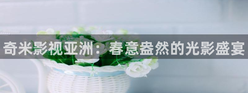 悟空电视剧免费观看