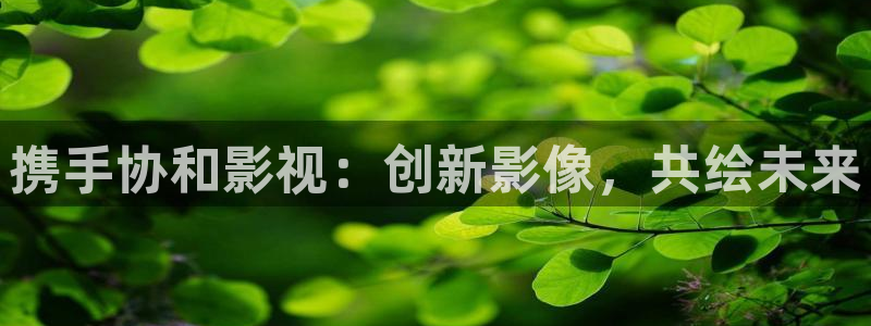 悟空免费观看在线观看
